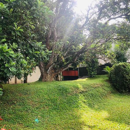47 Alfred House - Free Pickup From Kandy City Exterior photo