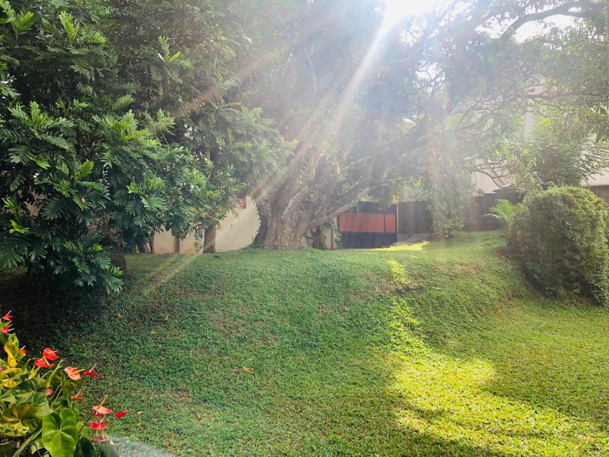 47 Alfred House - Free Pickup From Kandy City Exterior photo