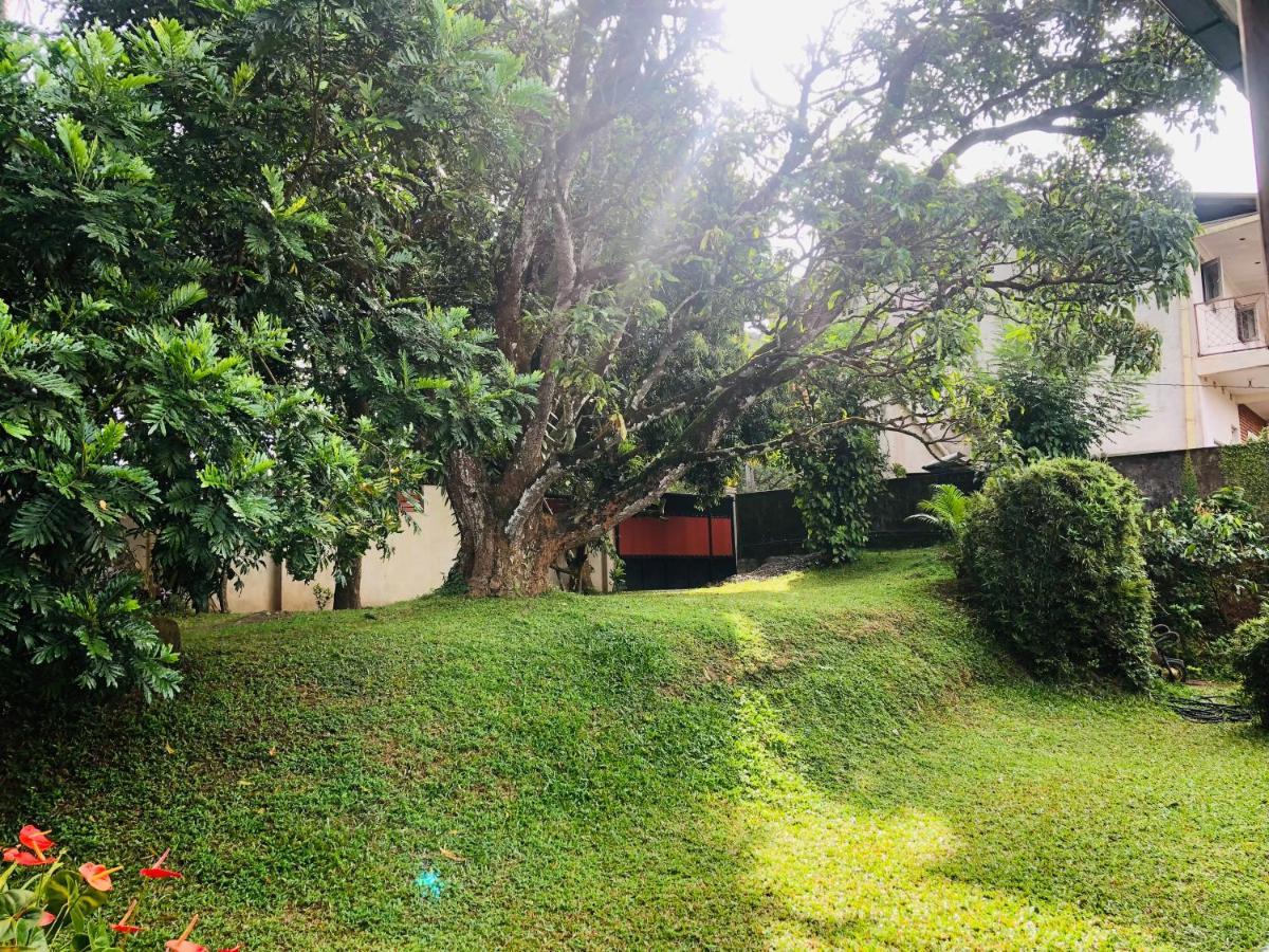 47 Alfred House - Free Pickup From Kandy City Exterior photo